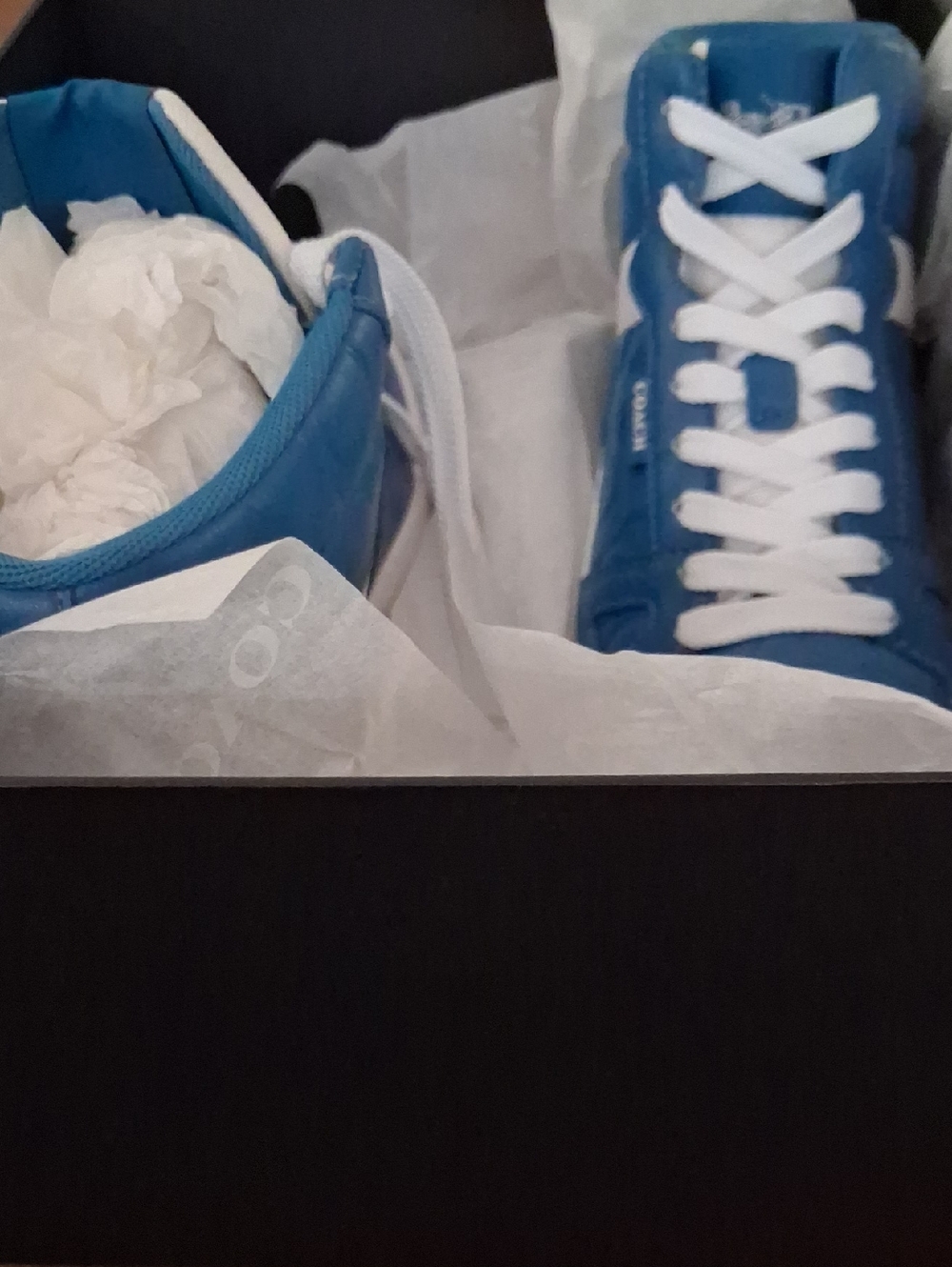Coach Blue and White Men's Sneakers
